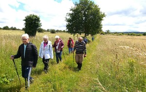 Rando de Mesnil de Jumièges 10 juin 2024