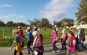 Rando de Bosc Roger en  Roumois 24/10/2024