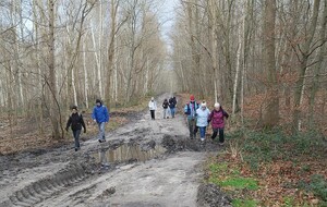 Rando de la forêt du Madrillet 06/01/2025