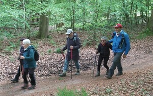 Rando du Petit Essart 5 mai 2025