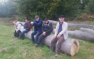 Randonnée de Tostes Terres de Bord 6 octobre 2025