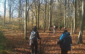 Rando de Bourgtheroulde 20 novembre 2025