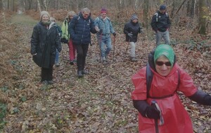 Randonnée de la Haye de Routot  1er décembre 2025