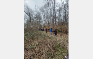 Rando de St Ouen de Thouberville 21 janvier 2026