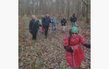 Randonnée de la Haye de Routot  1er décembre 2025