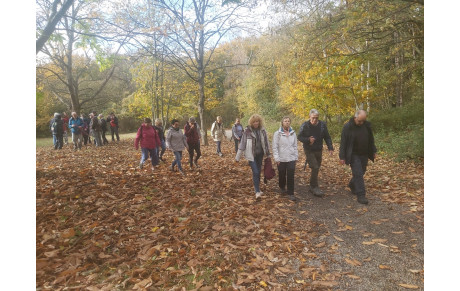 Randonnée de Gd-Quevilly 3 novembre 2025