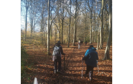 Rando de Bourgtheroulde 20 novembre 2025