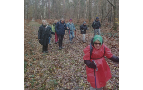 Randonnée de la Haye de Routot  1er décembre 2025