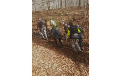 Rando des 13 chênes de la forêt de Roumare 2 février 2026